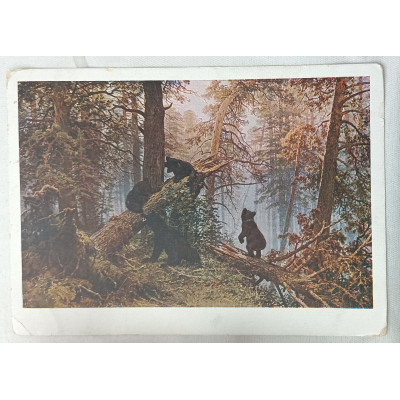 Открытка СССР 1928 И. И. Шишкин "Утро в сосновом лесу"