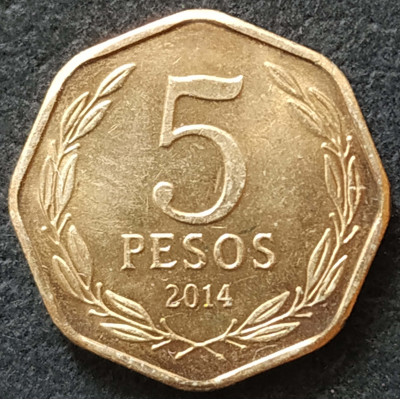 5 песо 2014 Чили из оборота 5 песо 2014 Чили из оборота